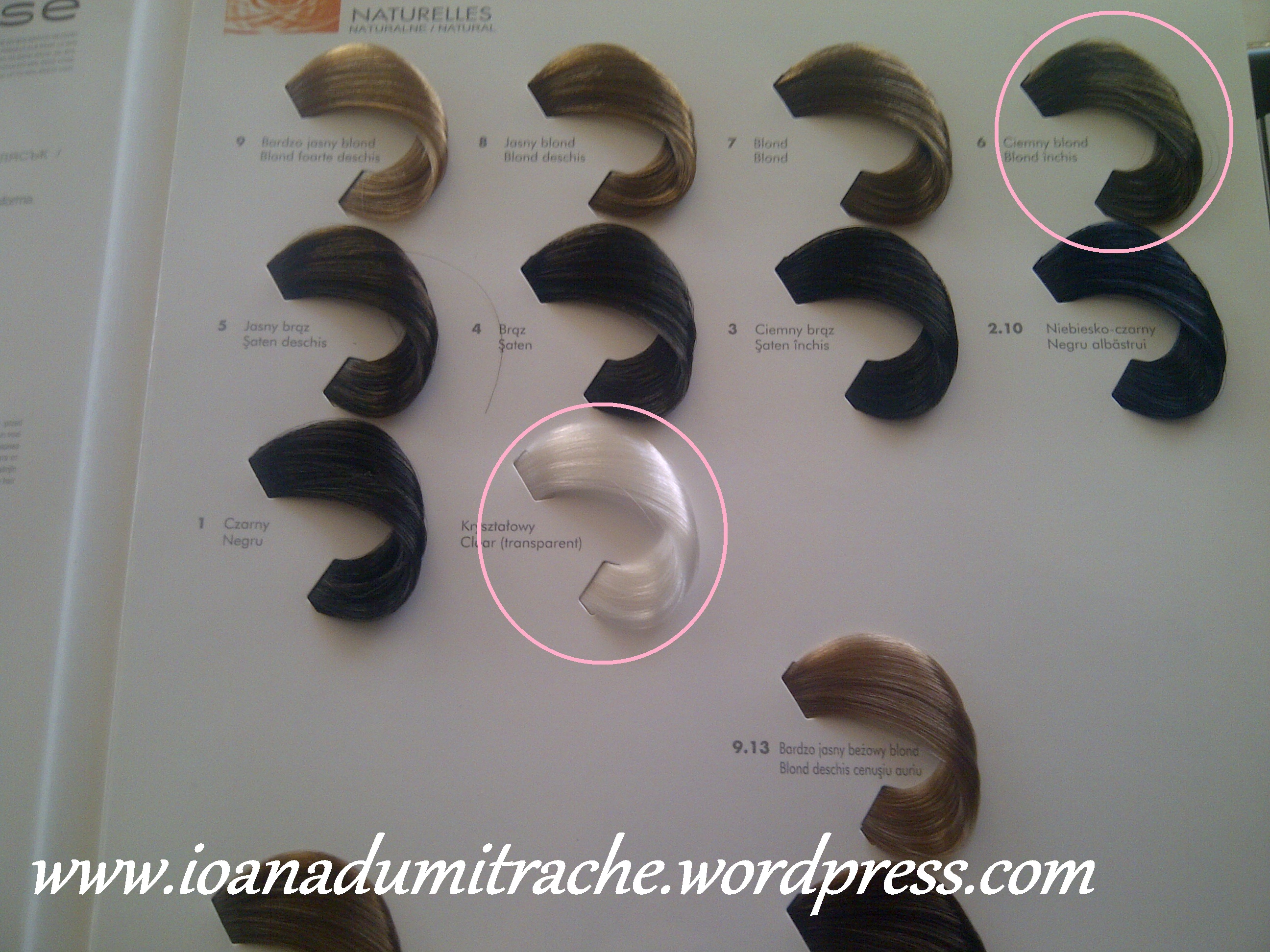 diarichesse loreal professionnel